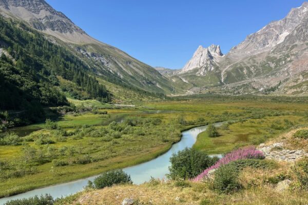 tour_du_mont_blanc_044 tour_du_mont_blanc_044
