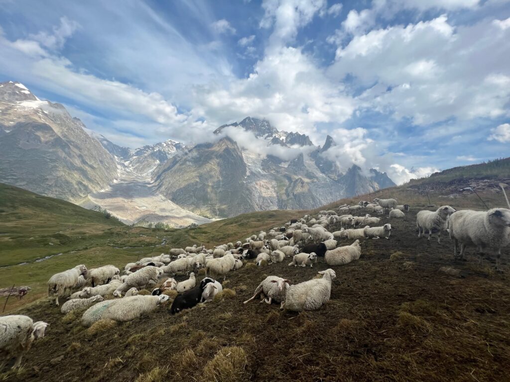tour_du_mont_blanc_047