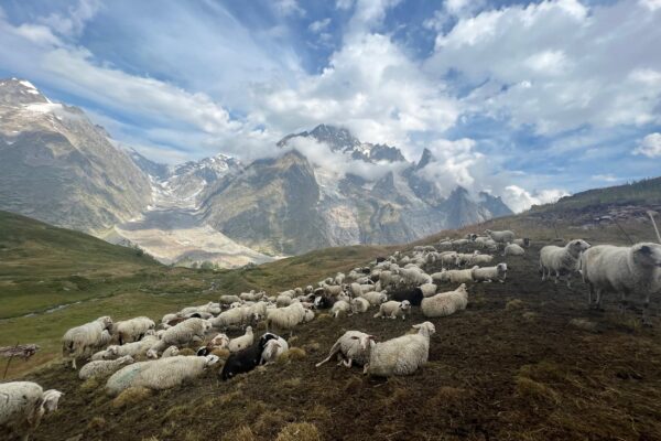 tour_du_mont_blanc_047 tour_du_mont_blanc_047