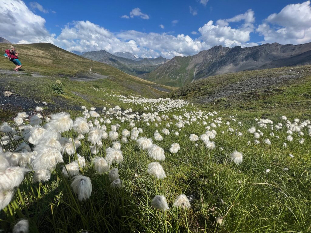 tour_du_mont_blanc_052
