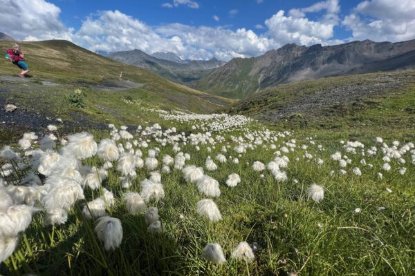 tour_du_mont_blanc_052 tour_du_mont_blanc_052