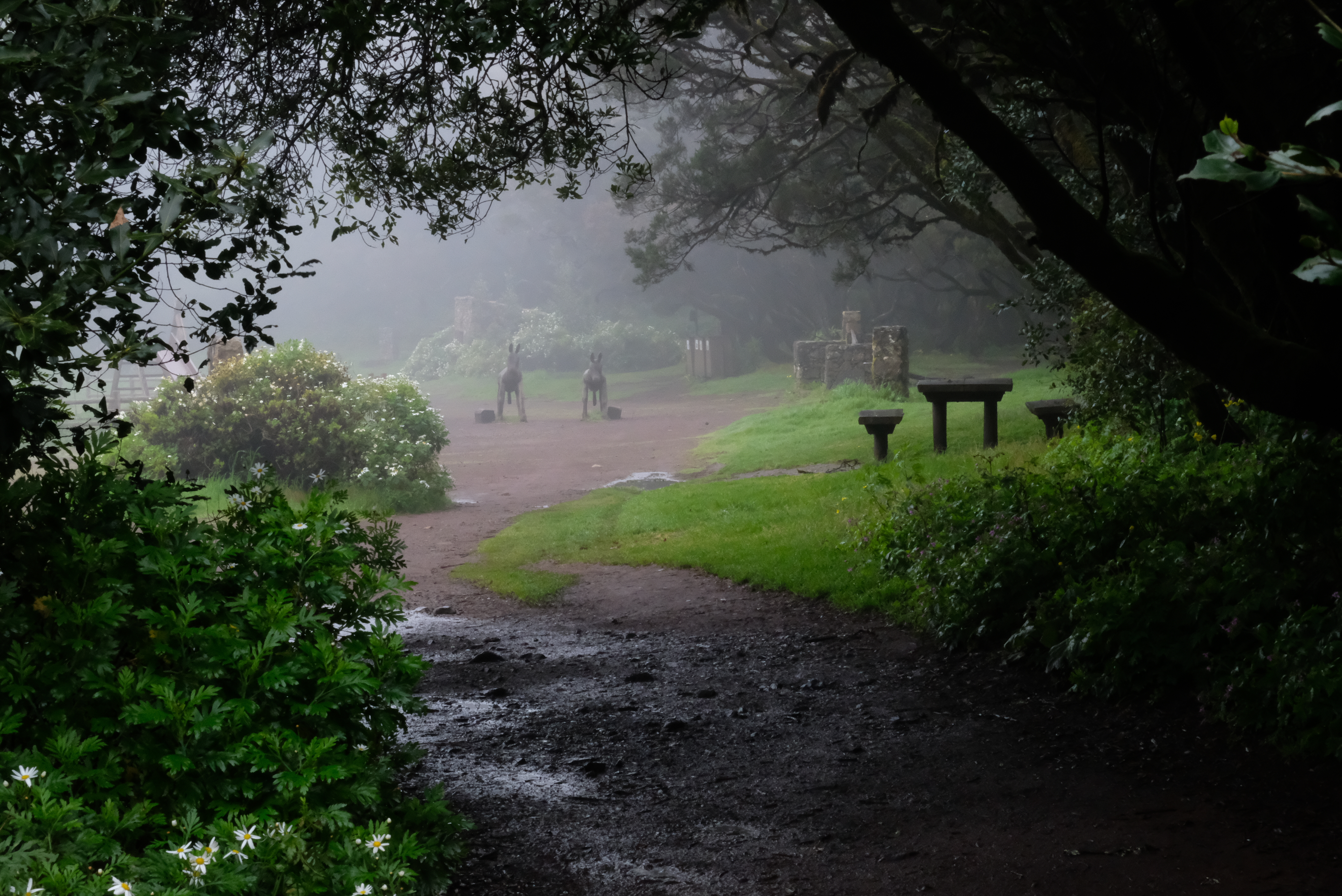 La Gomera s dětmi