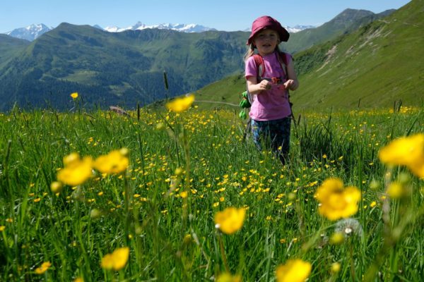 saalbach_s_detmi_004