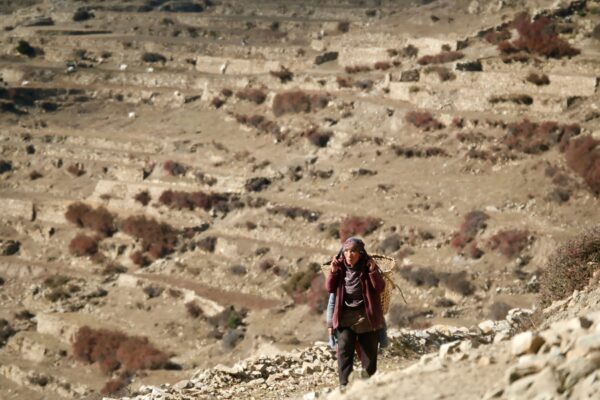 nepal_naarphu_trek_16
