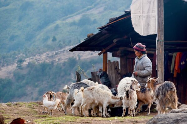 trek_kangchenjunga_nepal_06