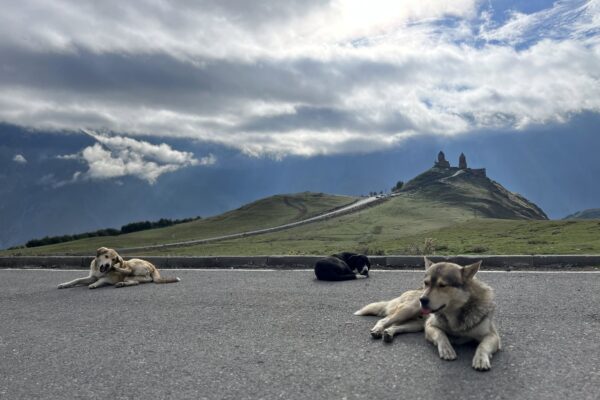 gruzie_vystup_na_kazbek_016 gruzie_vystup_na_kazbek_016
